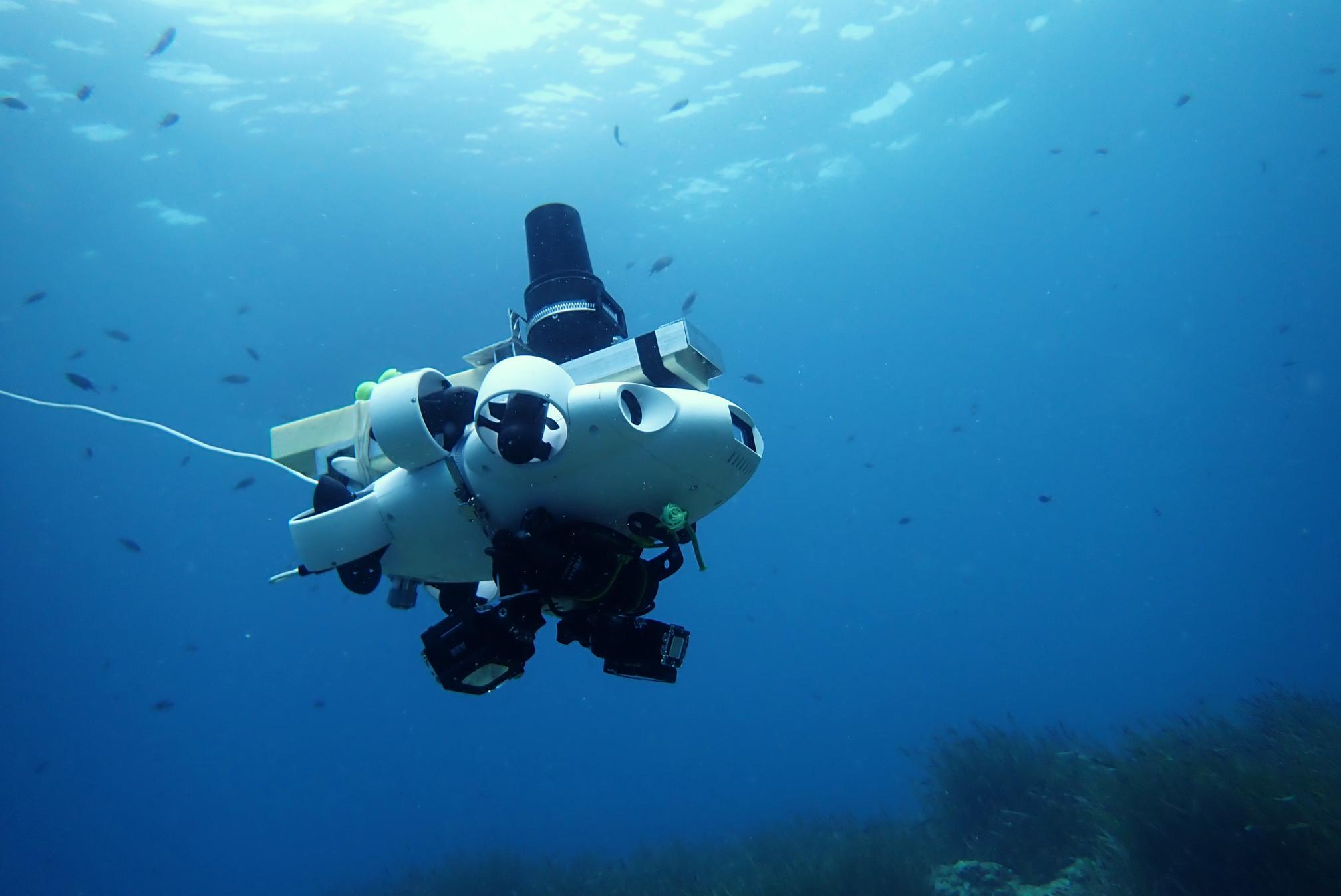 ROV FIFISH seaviews